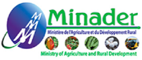 MINADER