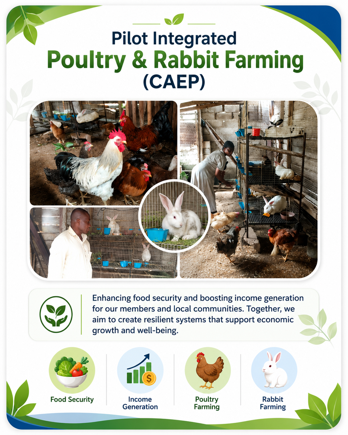 Poultry & Rabbit Farming