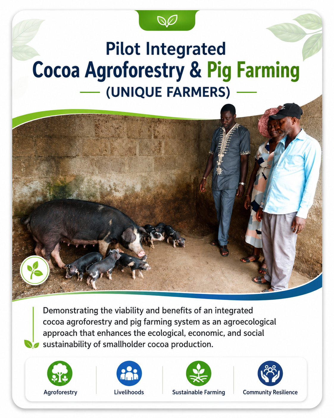 Cocoa Agroforestry & Pig Farming with Unique Farmers