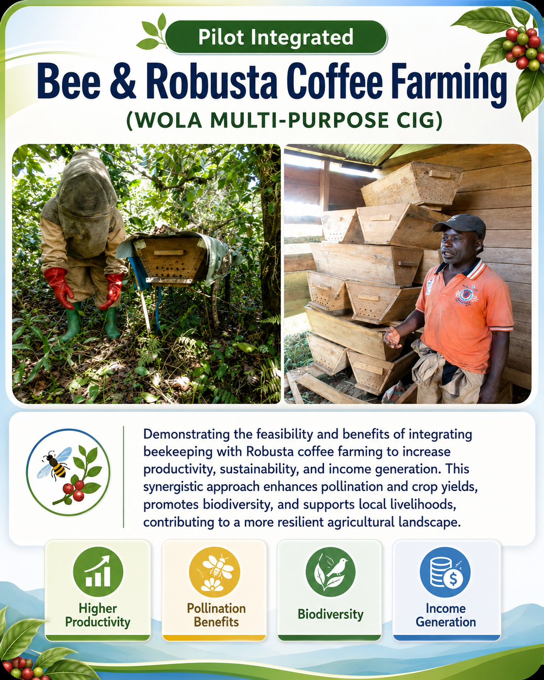 Bee & Robusta Coffee Farming with WOLA